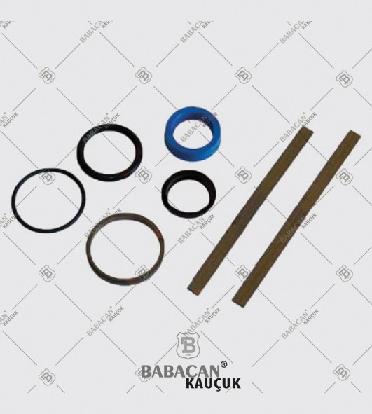Check Valve Repair Kit IGM 05226