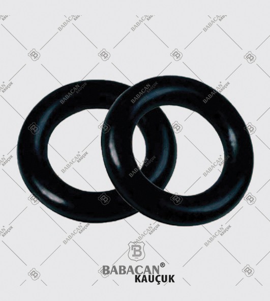 O-Ring
