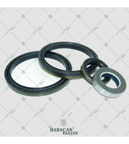 Oil Seals