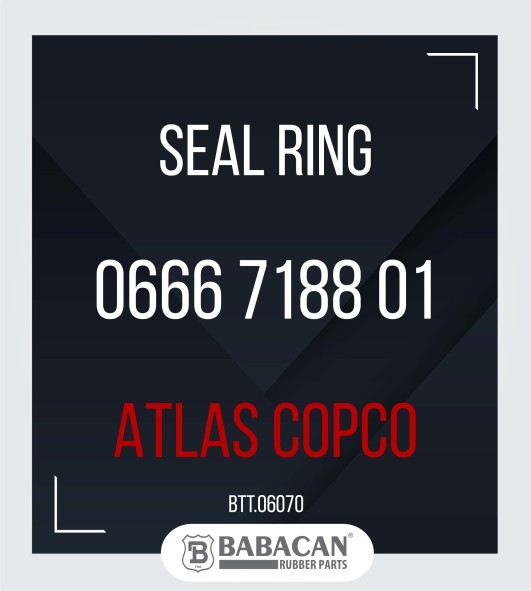 Seal Ring 0666 7188 01