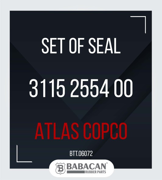 SET OF SEAL 3115 2554 00 3115 2554 00