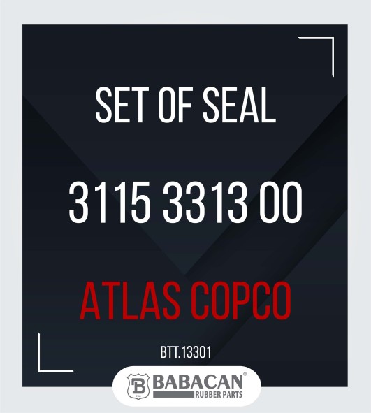 SET OF SEALS 3115 3313 00 3115 3313 00