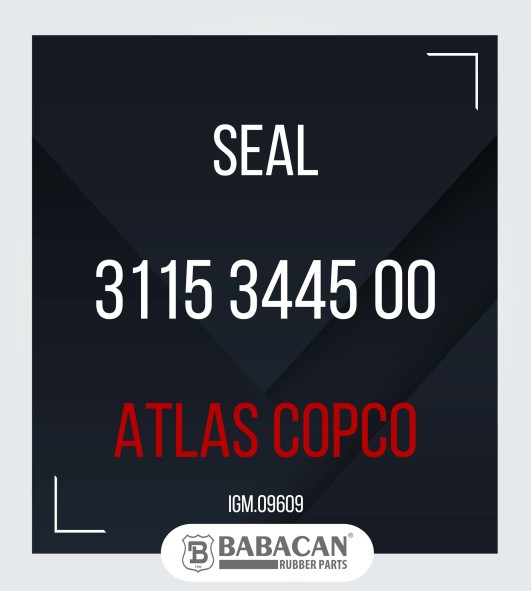 Seal  3115 3445 00 3115 3445 00