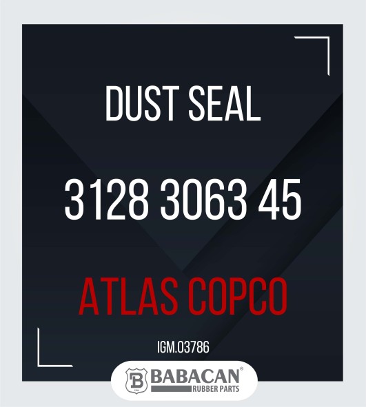 DUST SEAL 3128 3063 45 3128 3063 45