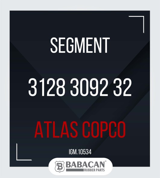 SEGMENT 3128 3092 32