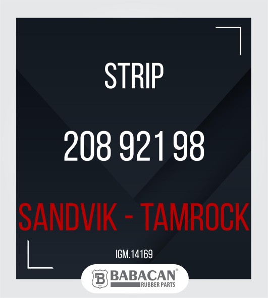 STRIP 208 921 98 208 921 98